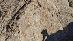 DENDAK EKİM 2025’TE ALADAĞLARDAYDI