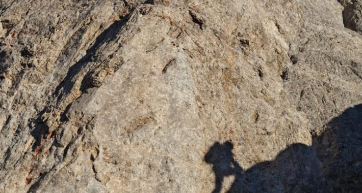 DENDAK EKİM 2025’TE ALADAĞLARDAYDI